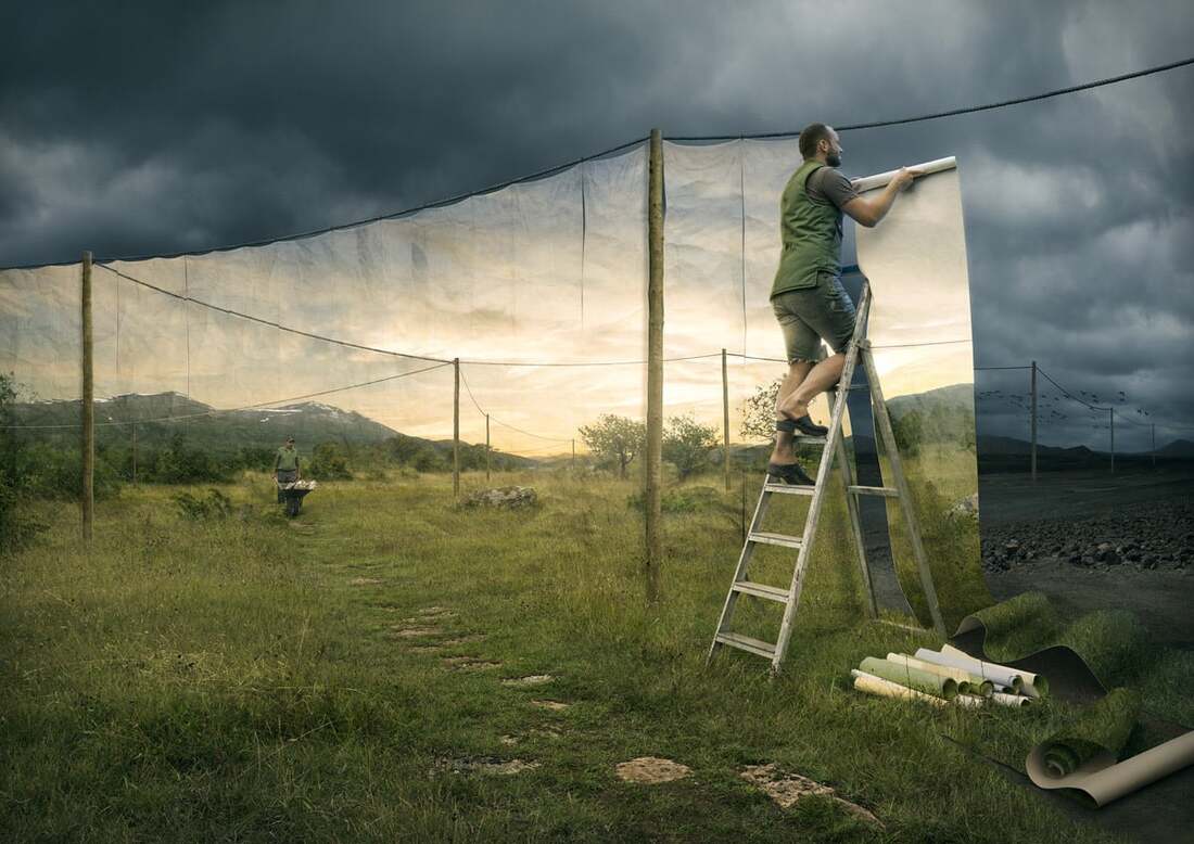 Picture